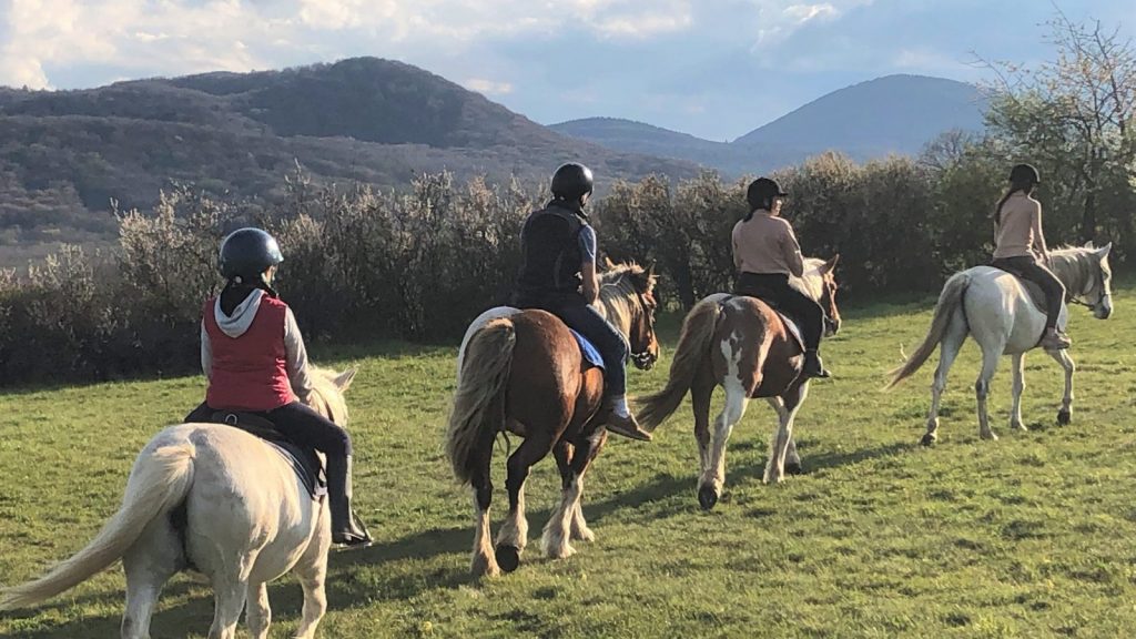 Les chevaux des bisettes