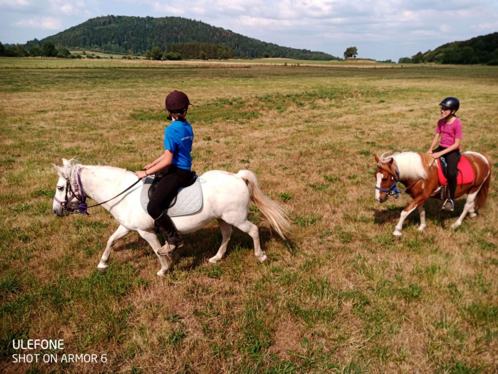 Les chevaux de bisette