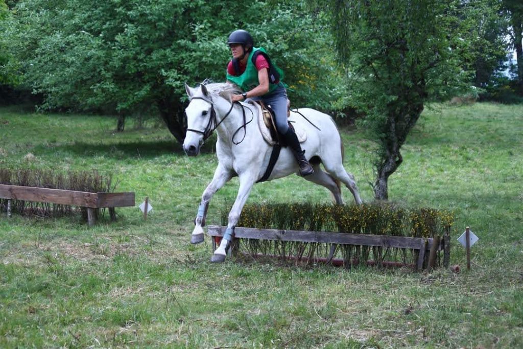 Les chevaux des bisettes