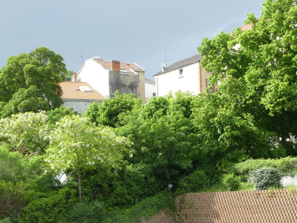 vue arrière