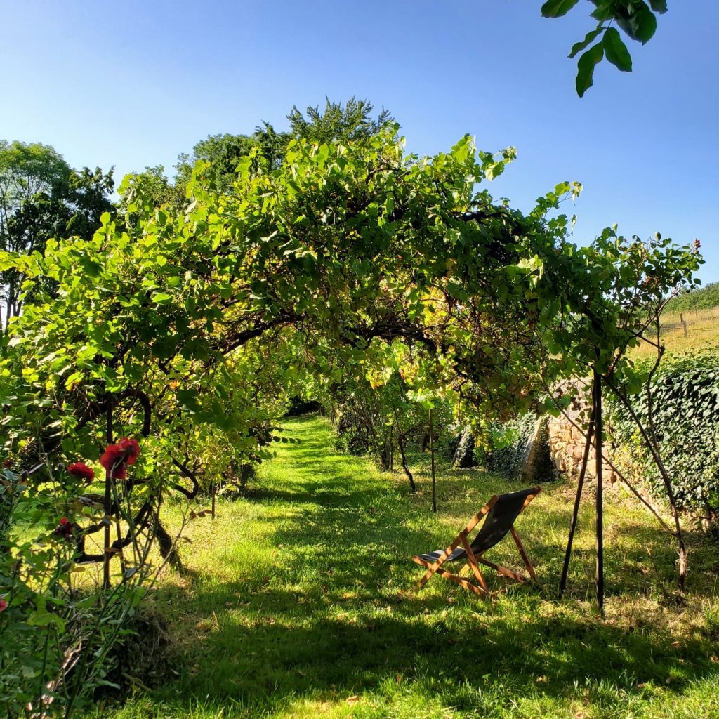 flanerie aux vinzelles.jpg