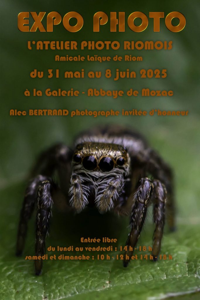 Exposition photo
