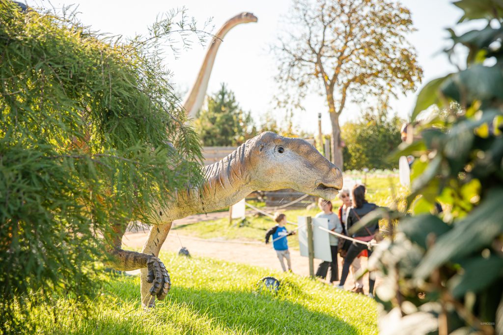 Paléopolis, la colline aux dinosaures_Gannat