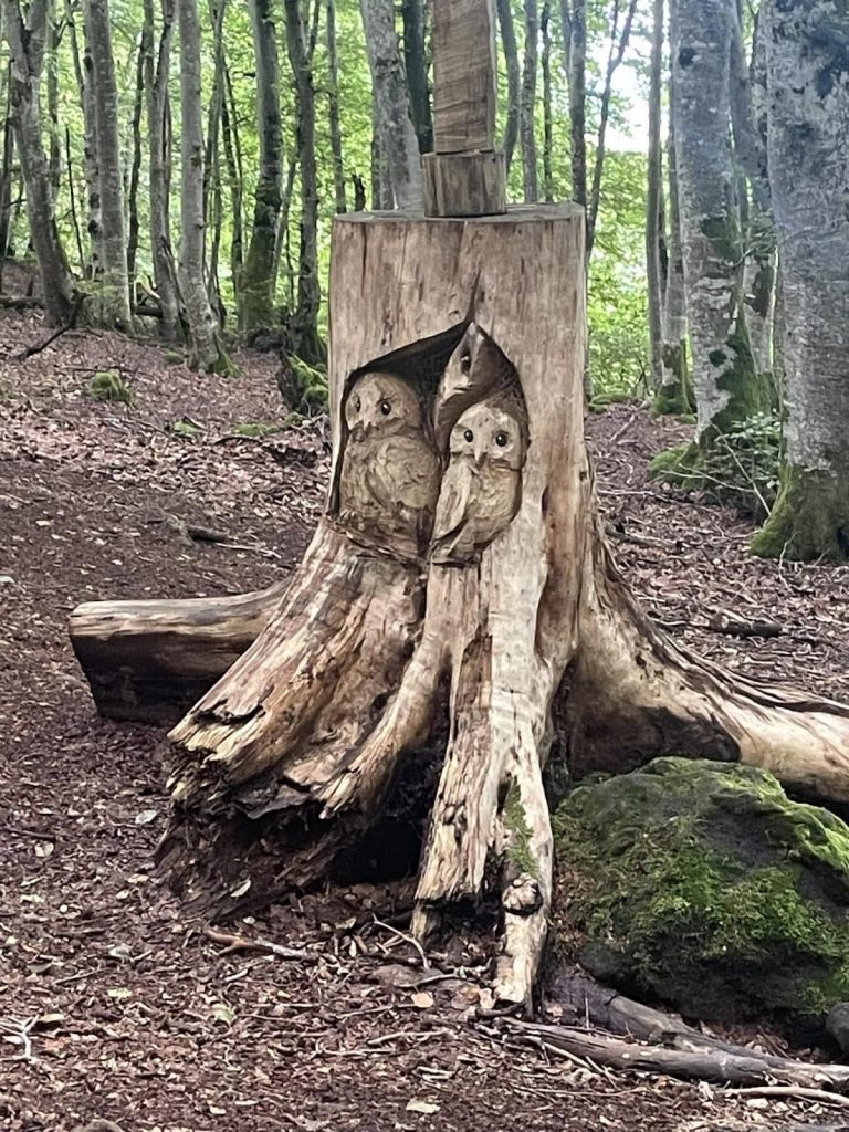 Balade Nature et Patrimoine : le Puy de Lespinasse