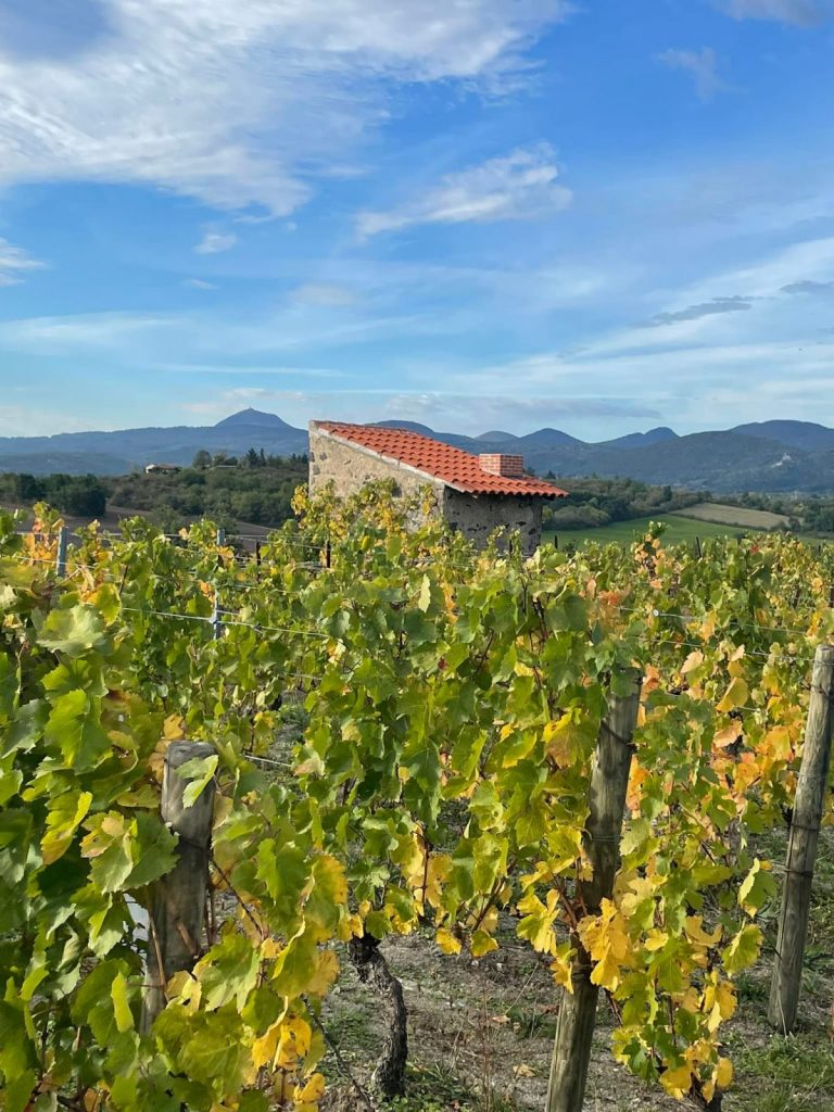 Balade à la journée : le pays Brayaud