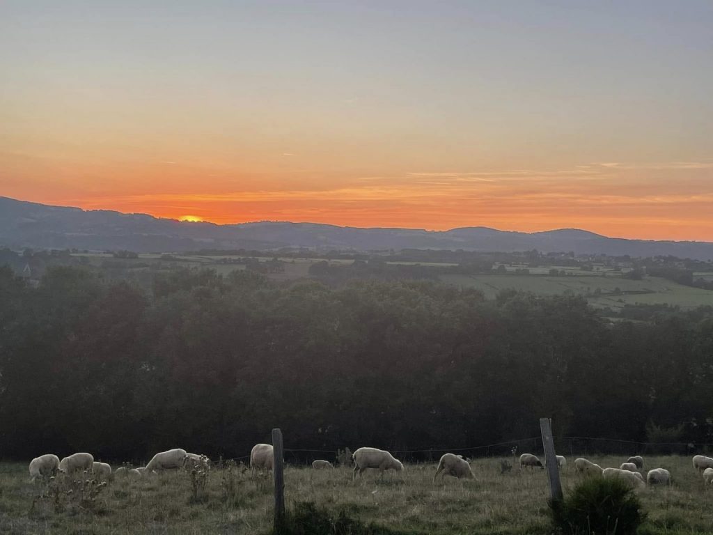 Balade lever de soleil : entre Limagne et Combrailles