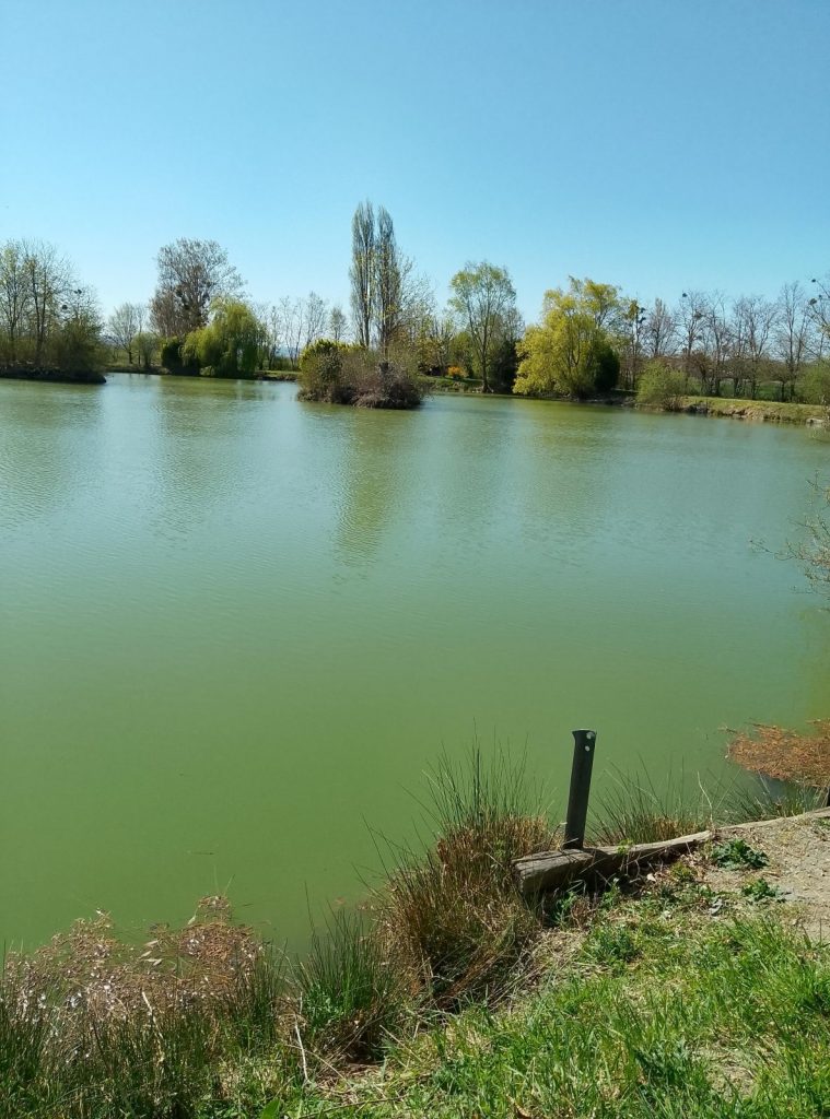 Lâché de truites