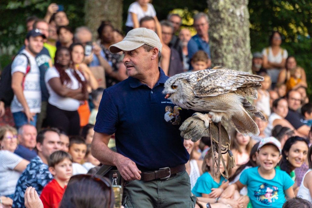 Rapaces en vol libre
