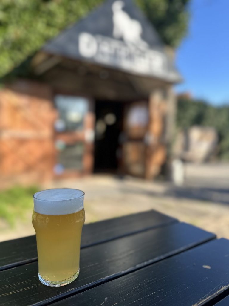 Dark Lab – Microbrasserie_Saint-Ours