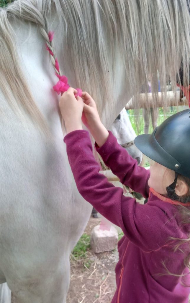 Animation à poney