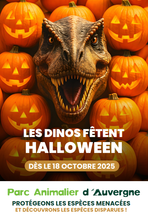 Les dinos fêtent halloween