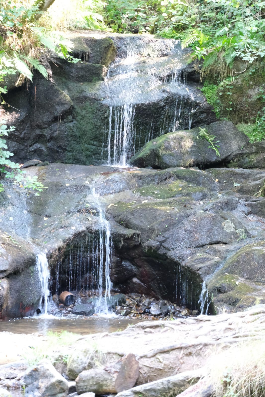Le sentier de l’APAGE