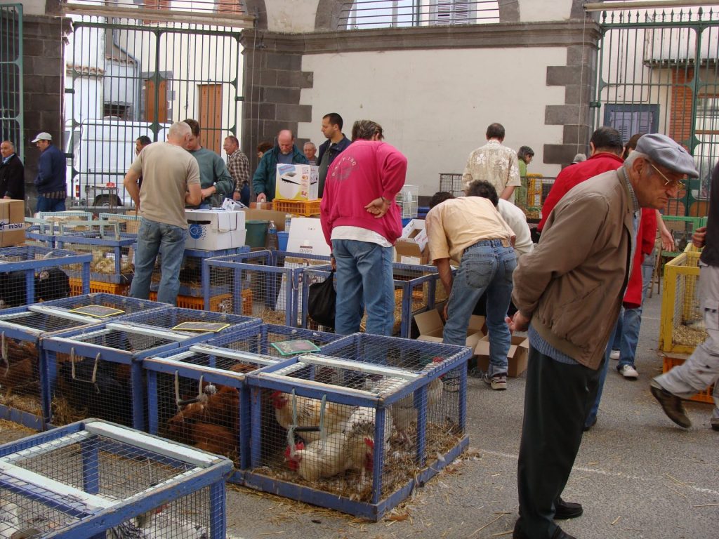 Marché hebdomadaire de Maringues