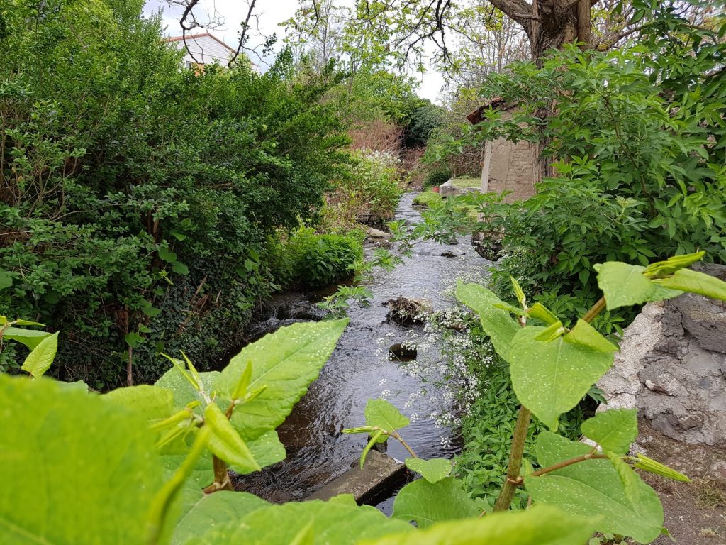 La Coulée Verte