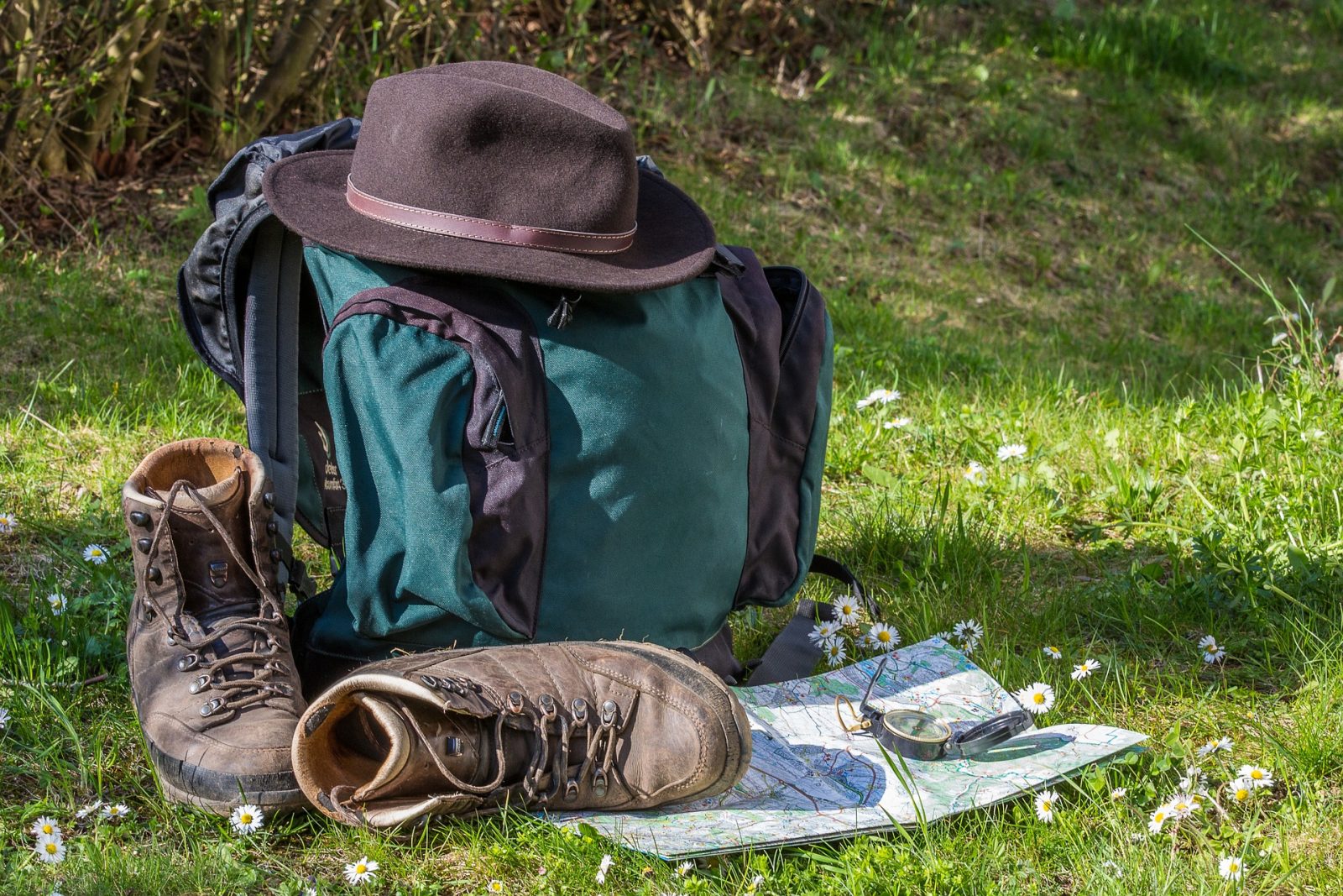 Entre miel et terre