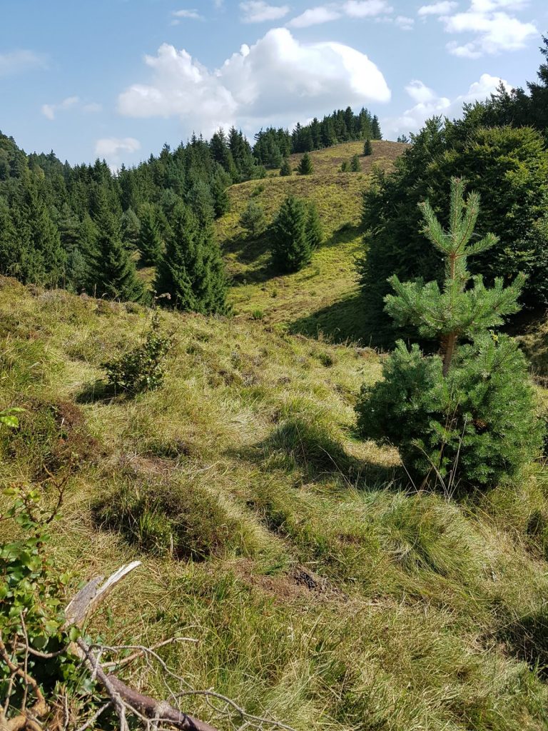 Puy des Gouttes