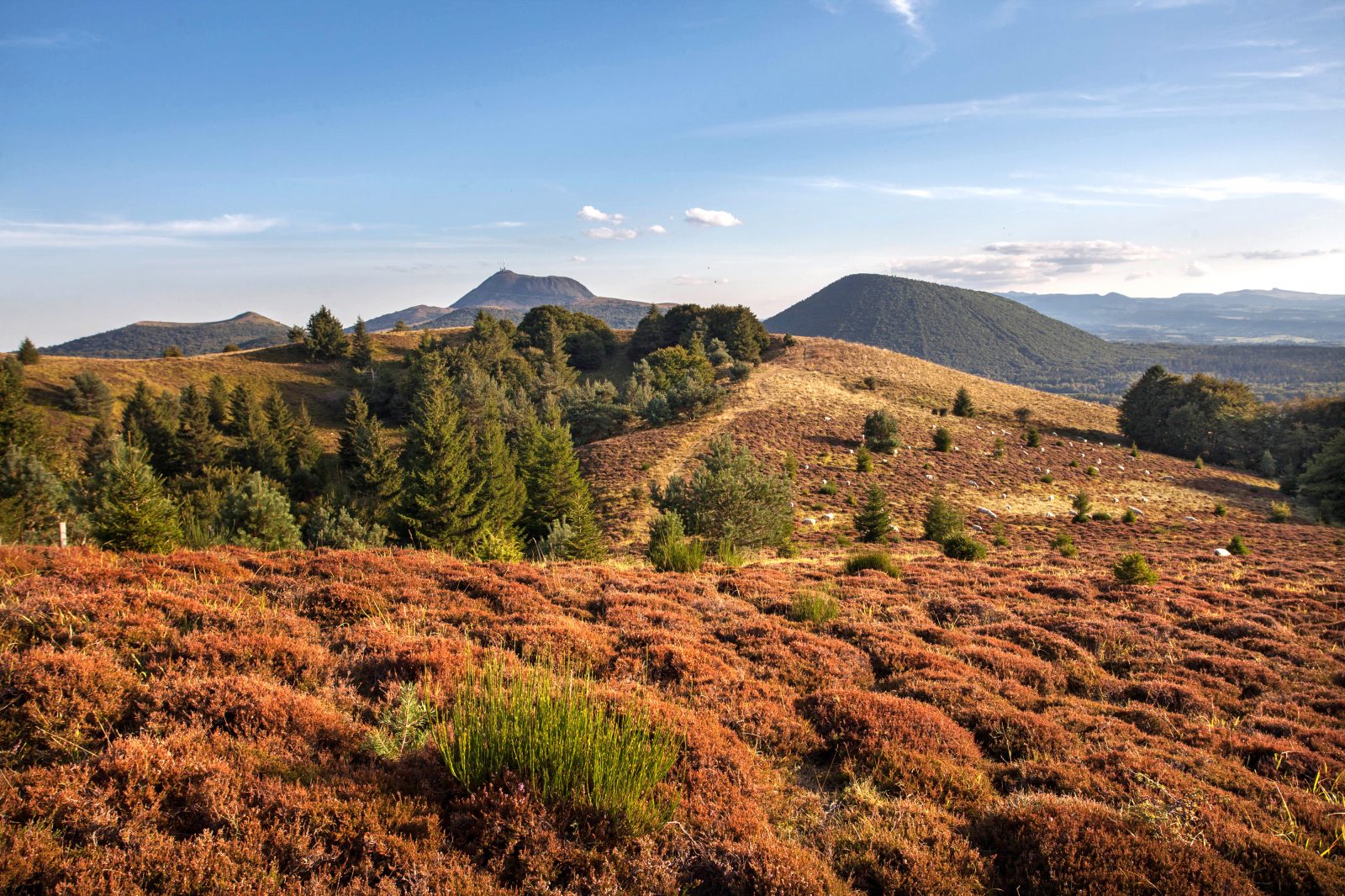 GR® 441 : Le tour des volcans d’Auvergne