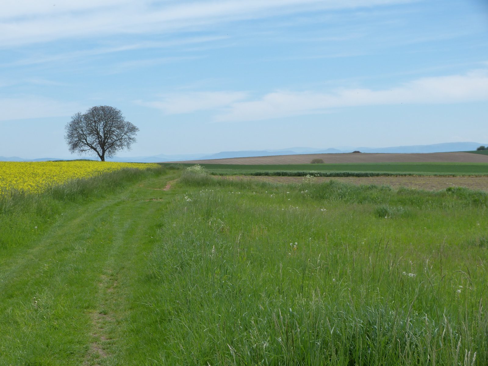 Entre Limagne et Combrailles