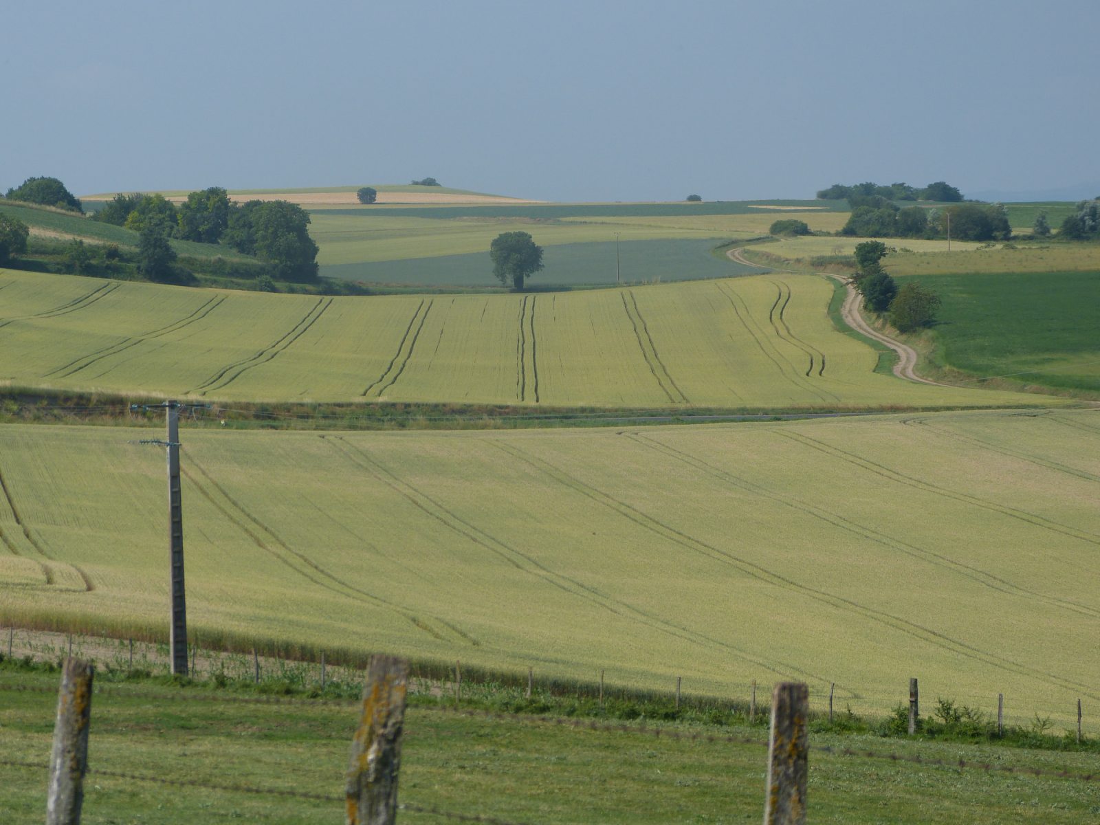 Entre Limagne et Combrailles