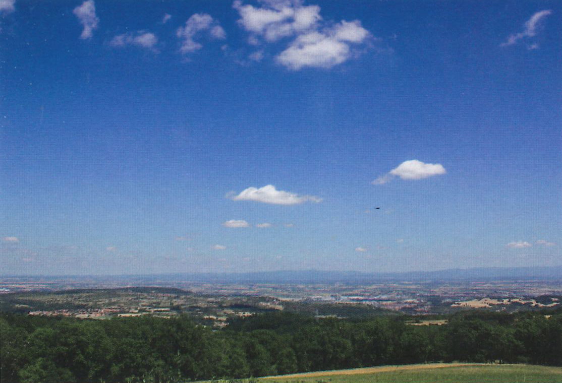 Les Bruyères