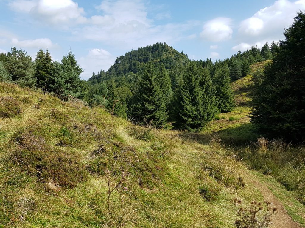 Puy des Gouttes