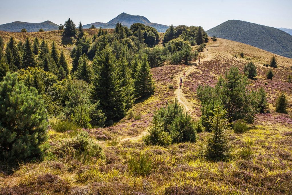 Puy des Gouttes