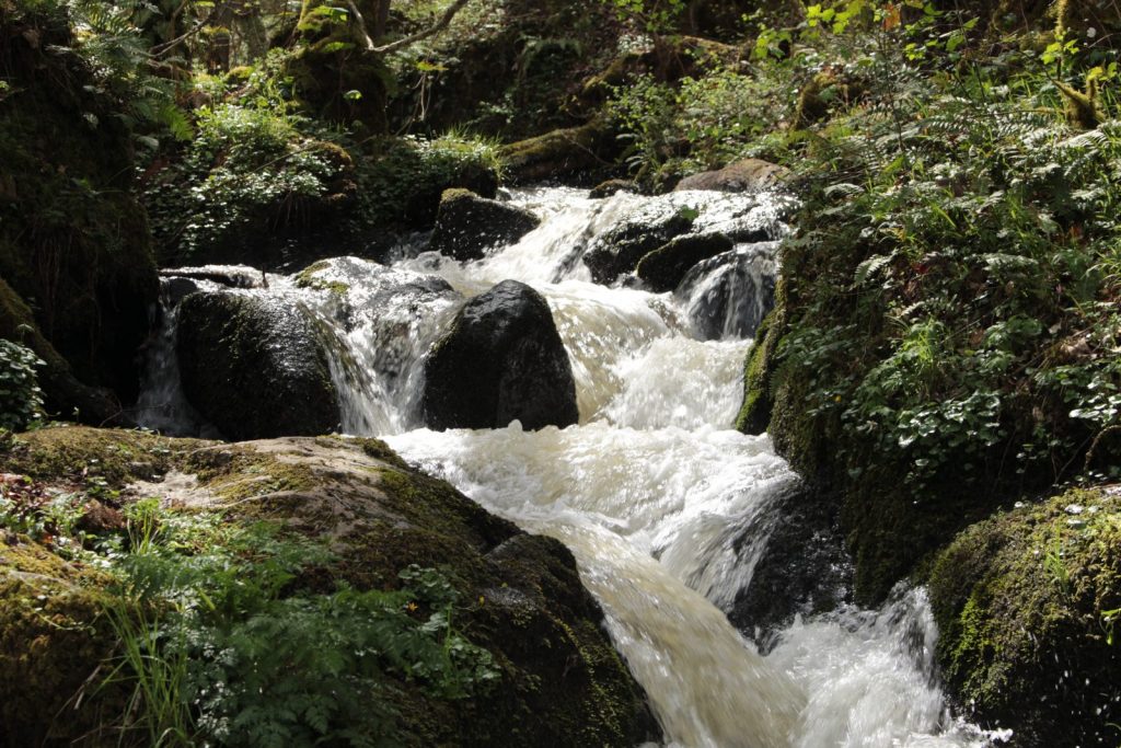 Gorges Enval