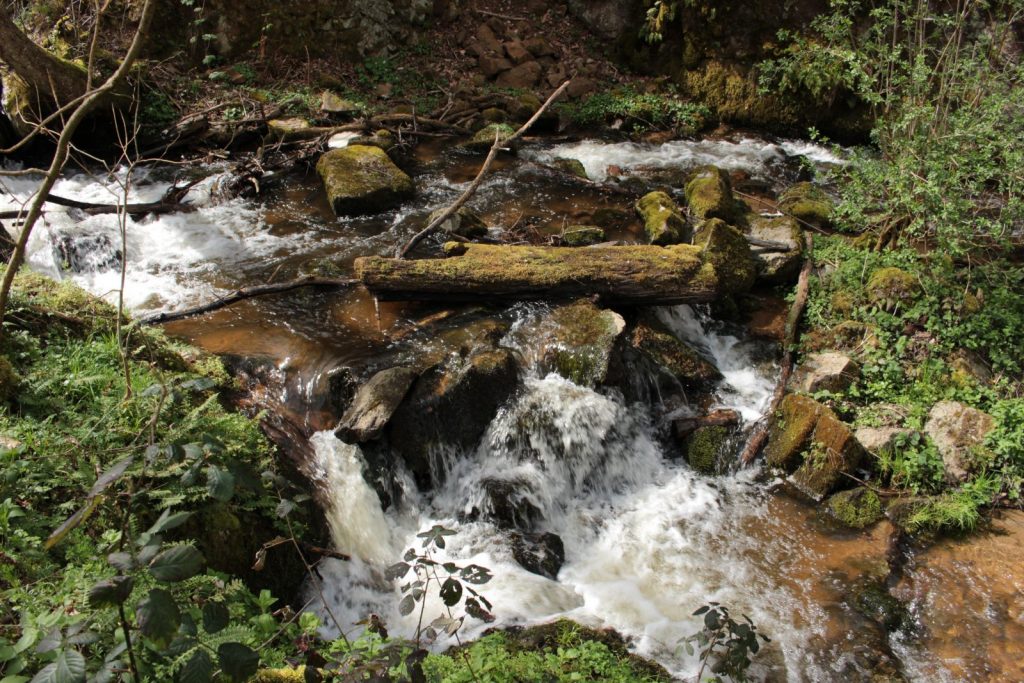 Gorges Enval