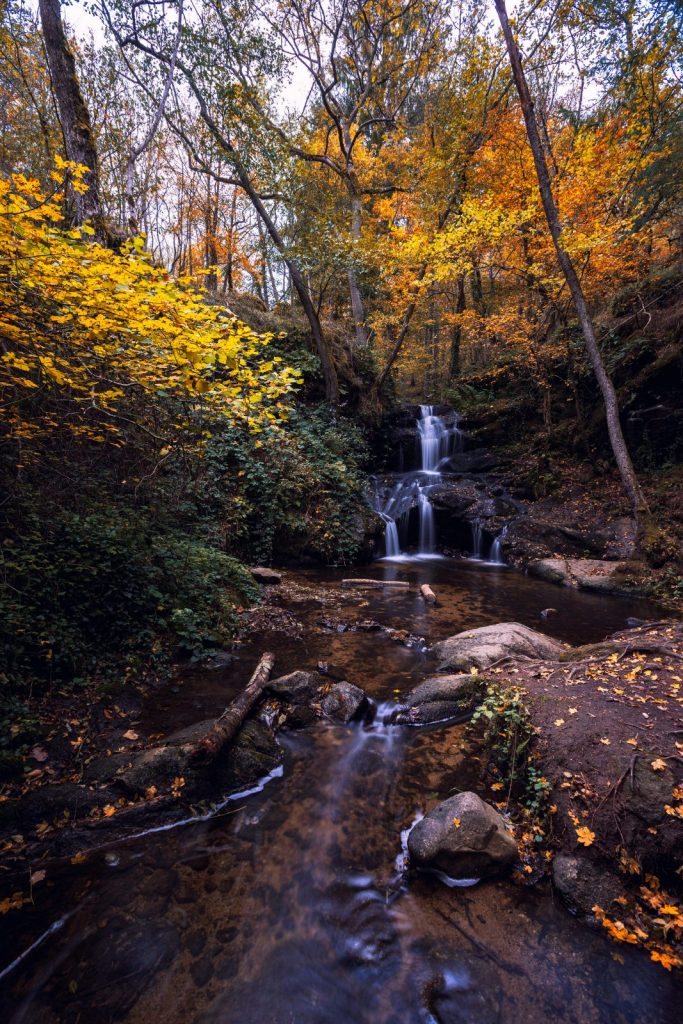 Cascade du petit Gornand