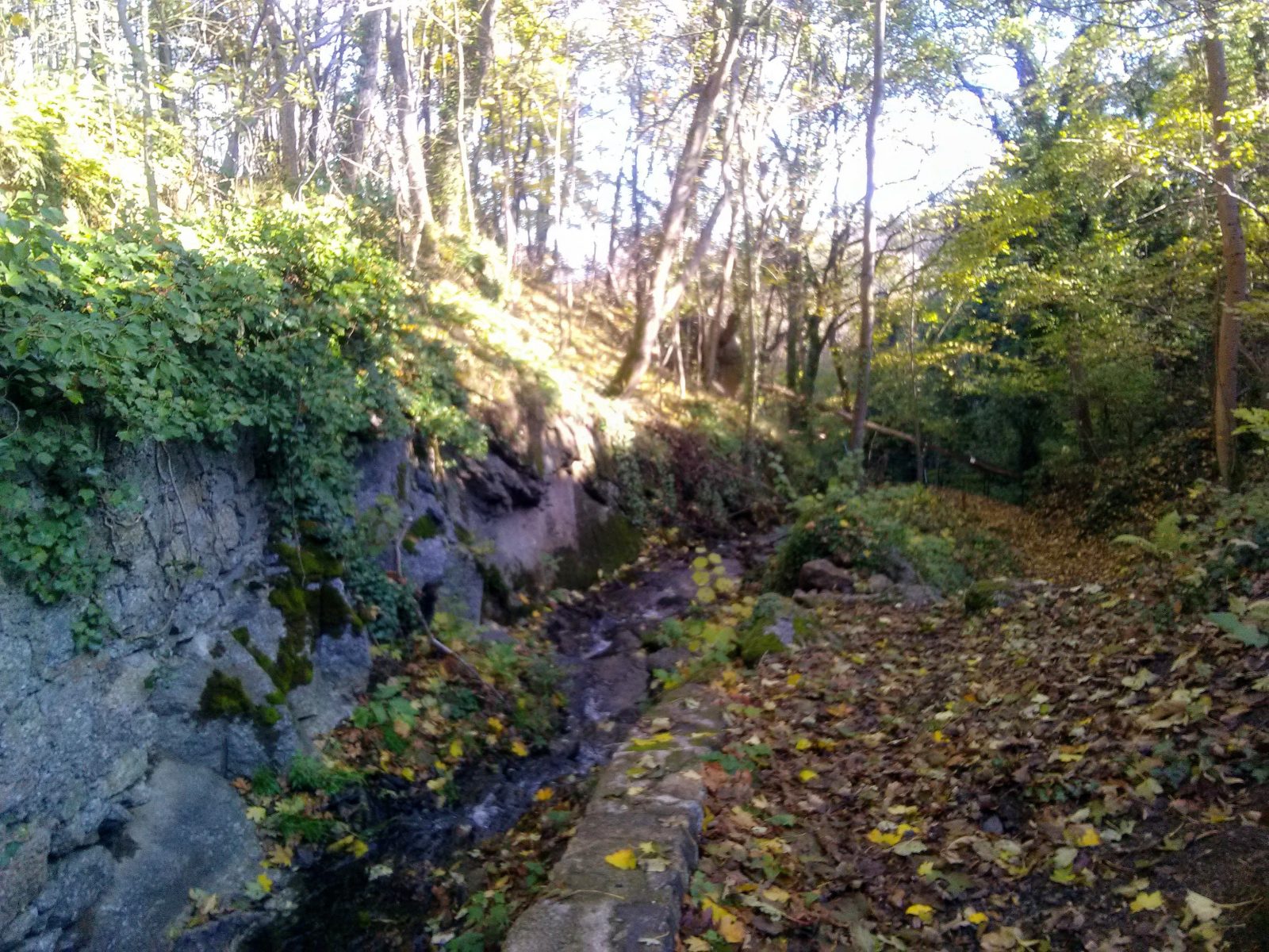 Le tour de Chaumont